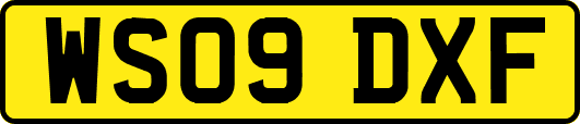 WS09DXF