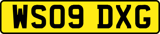 WS09DXG