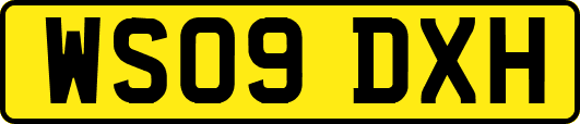 WS09DXH