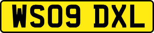 WS09DXL