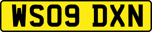 WS09DXN