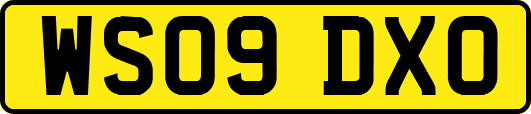 WS09DXO