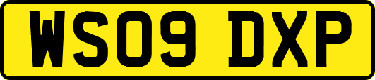 WS09DXP