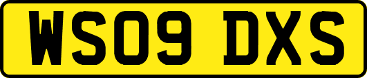 WS09DXS