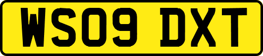 WS09DXT
