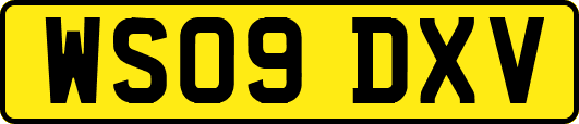 WS09DXV