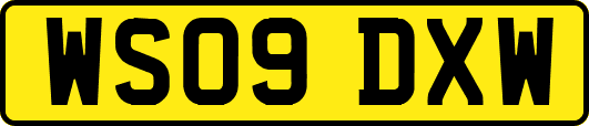 WS09DXW