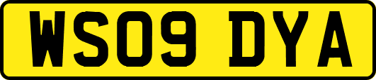 WS09DYA