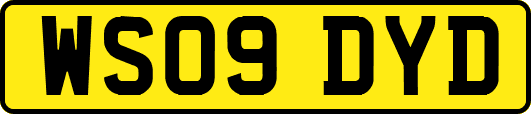 WS09DYD