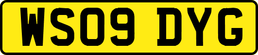 WS09DYG