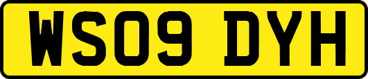 WS09DYH