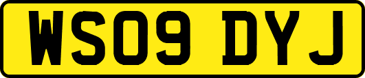 WS09DYJ