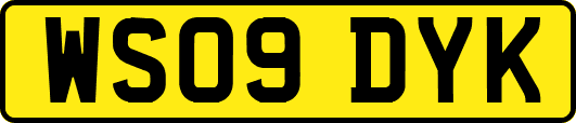 WS09DYK