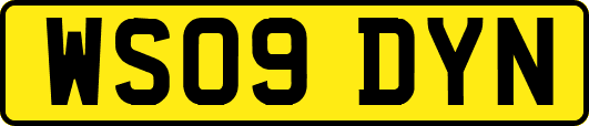 WS09DYN