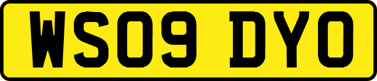 WS09DYO