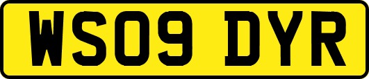 WS09DYR