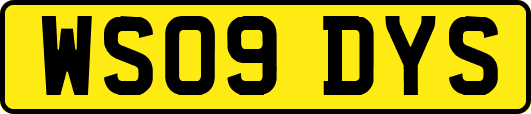 WS09DYS