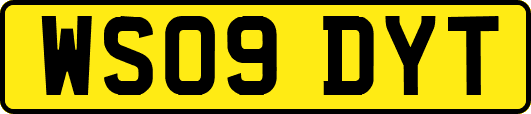 WS09DYT