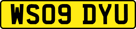 WS09DYU