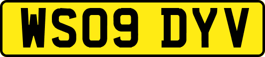 WS09DYV
