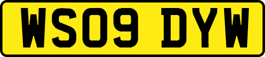 WS09DYW