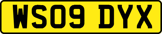 WS09DYX