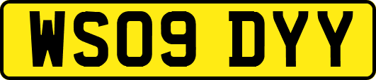 WS09DYY