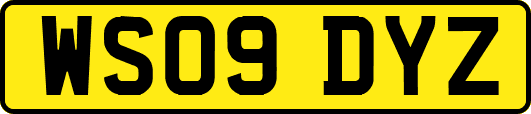 WS09DYZ