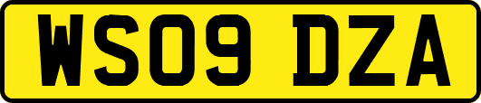 WS09DZA