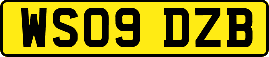 WS09DZB