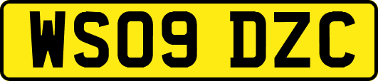 WS09DZC