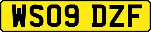 WS09DZF