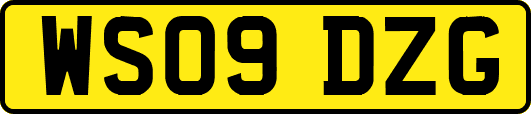 WS09DZG