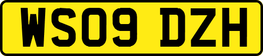 WS09DZH