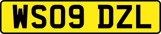 WS09DZL
