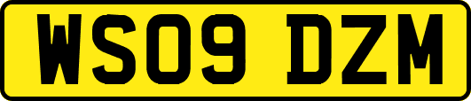 WS09DZM