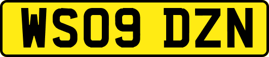 WS09DZN