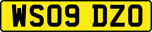 WS09DZO