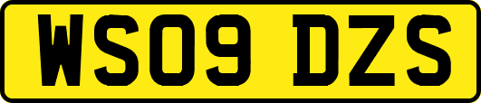 WS09DZS