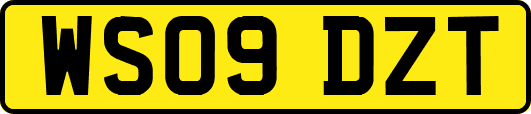 WS09DZT