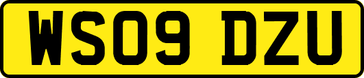 WS09DZU