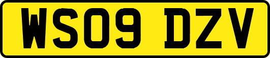 WS09DZV