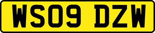 WS09DZW