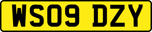 WS09DZY