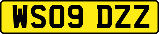 WS09DZZ