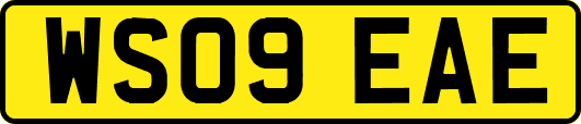WS09EAE