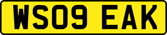 WS09EAK