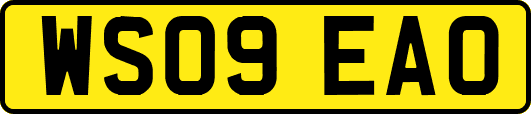 WS09EAO