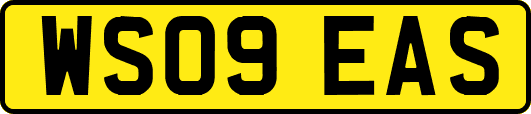 WS09EAS