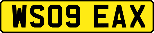 WS09EAX